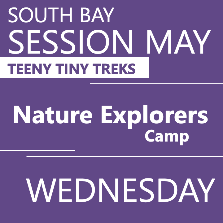 Teeny Tiny Treks South Bay - Summer 2026 - Session May: Wednesday Early Bird  - Teacher Erin