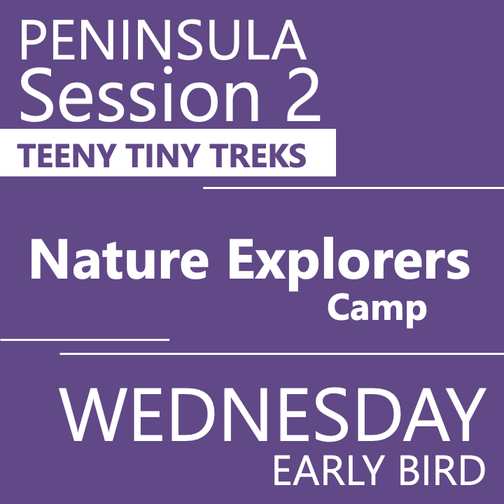 Peninsula - Summer 2026 - Session 2: Wednesday Early Bird- Teeny Tiny Treks - Teacher Vanessa