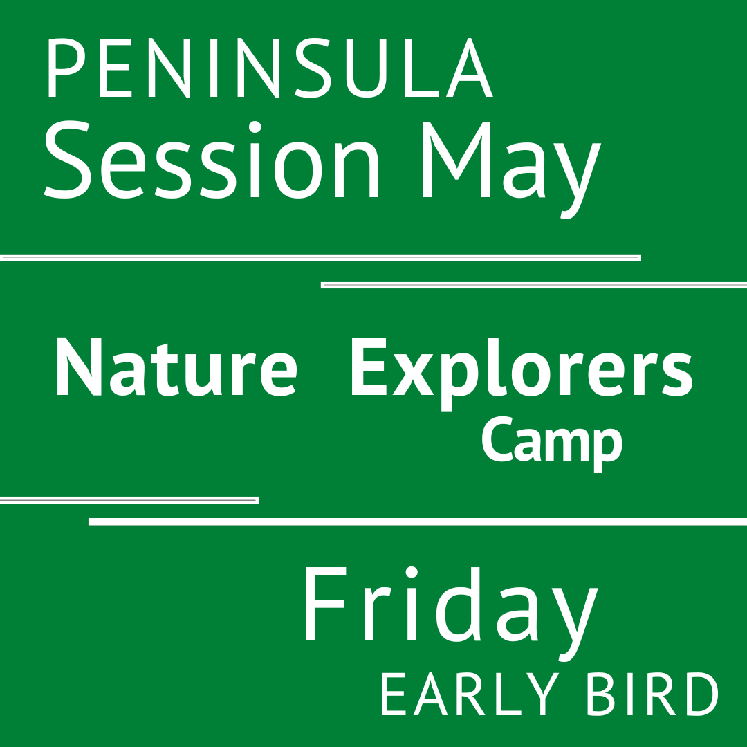 Peninsula - Summer 2026 - Session May: Friday Early Bird - Teacher Andrea