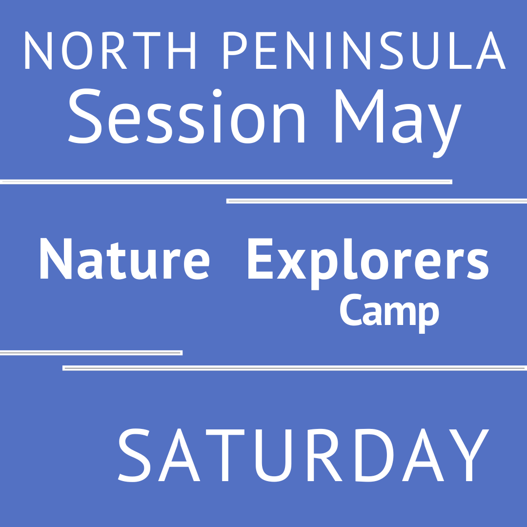 North Peninsula - Summer 2026 - Session May: Thursday Morning Adventures - Teacher Ally