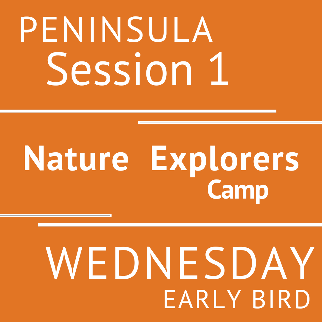 Peninsula - Summer 2026- Session 1: Wednesday Early Bird-- Teacher Andrea