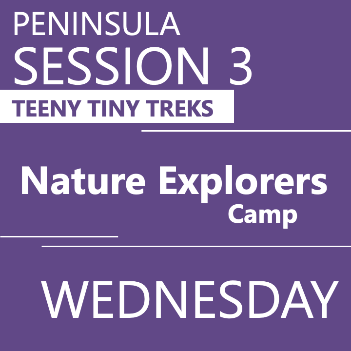 Peninsula - Summer 2026 - Session 3: Wednesday Teeny Tiny Treks-- Teacher Vanessa