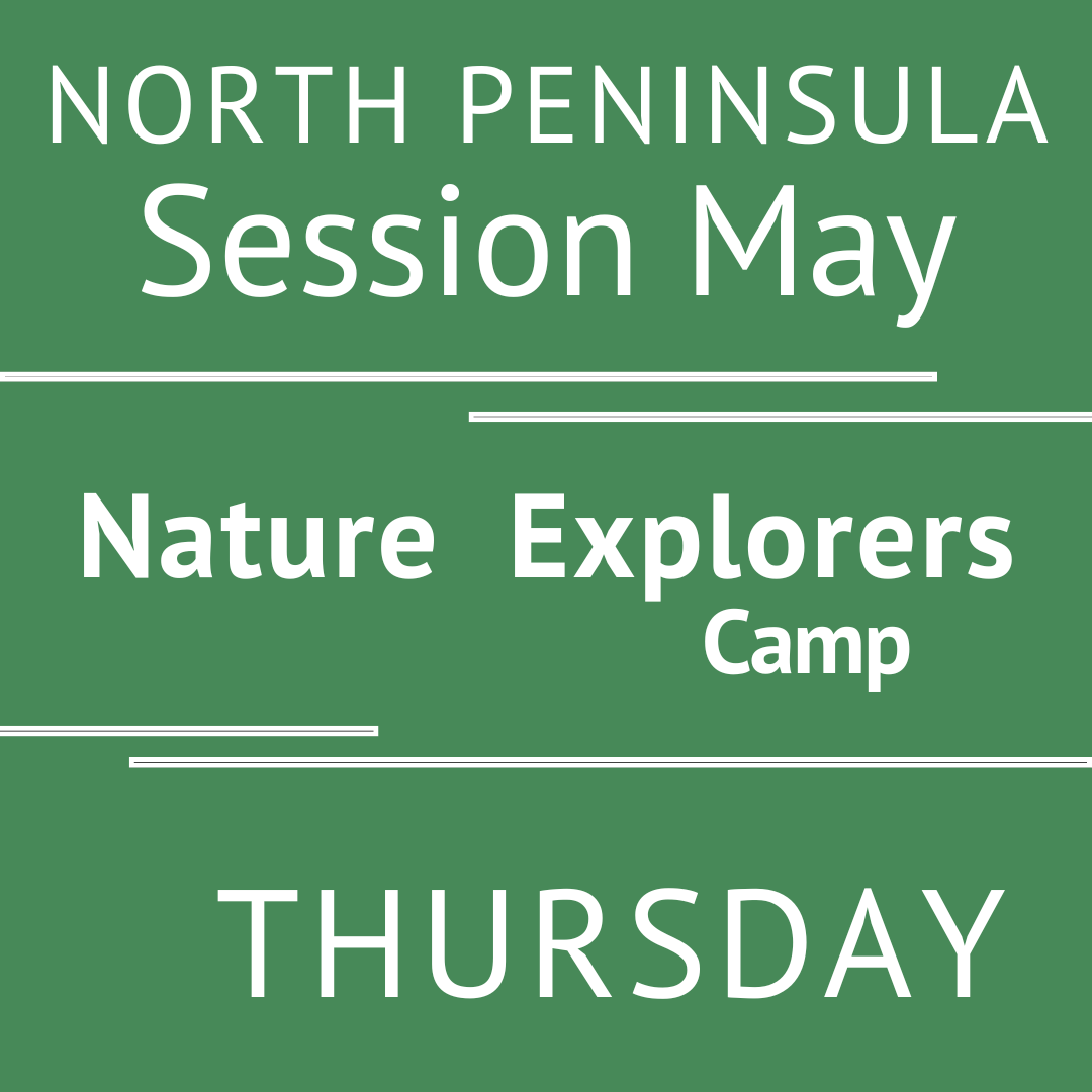 North Peninsula - Summer 2026 - Session May: Thursday Morning Adventures - Teacher Ally