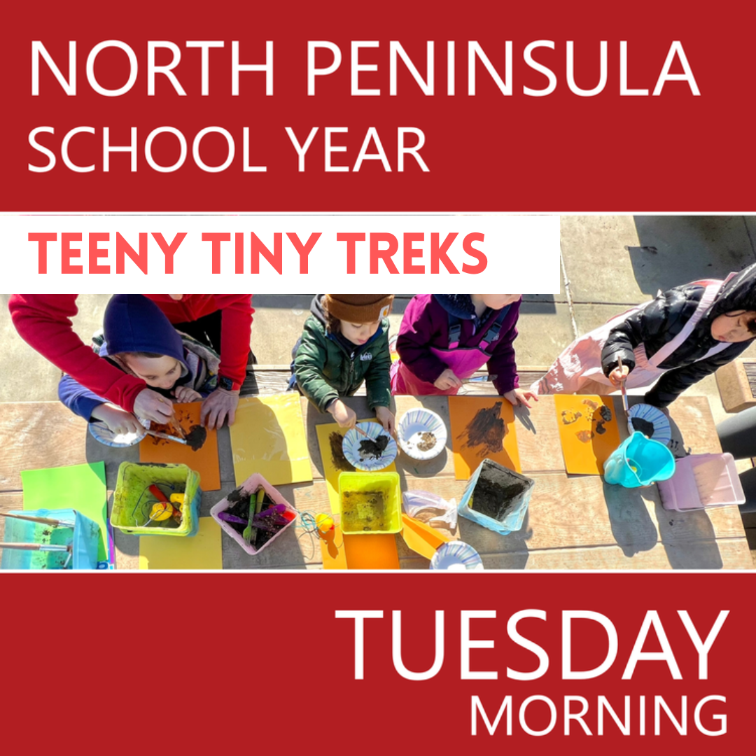 North Peninsula - SY 2026-2027: Tuesday Morning - Teacher Ally