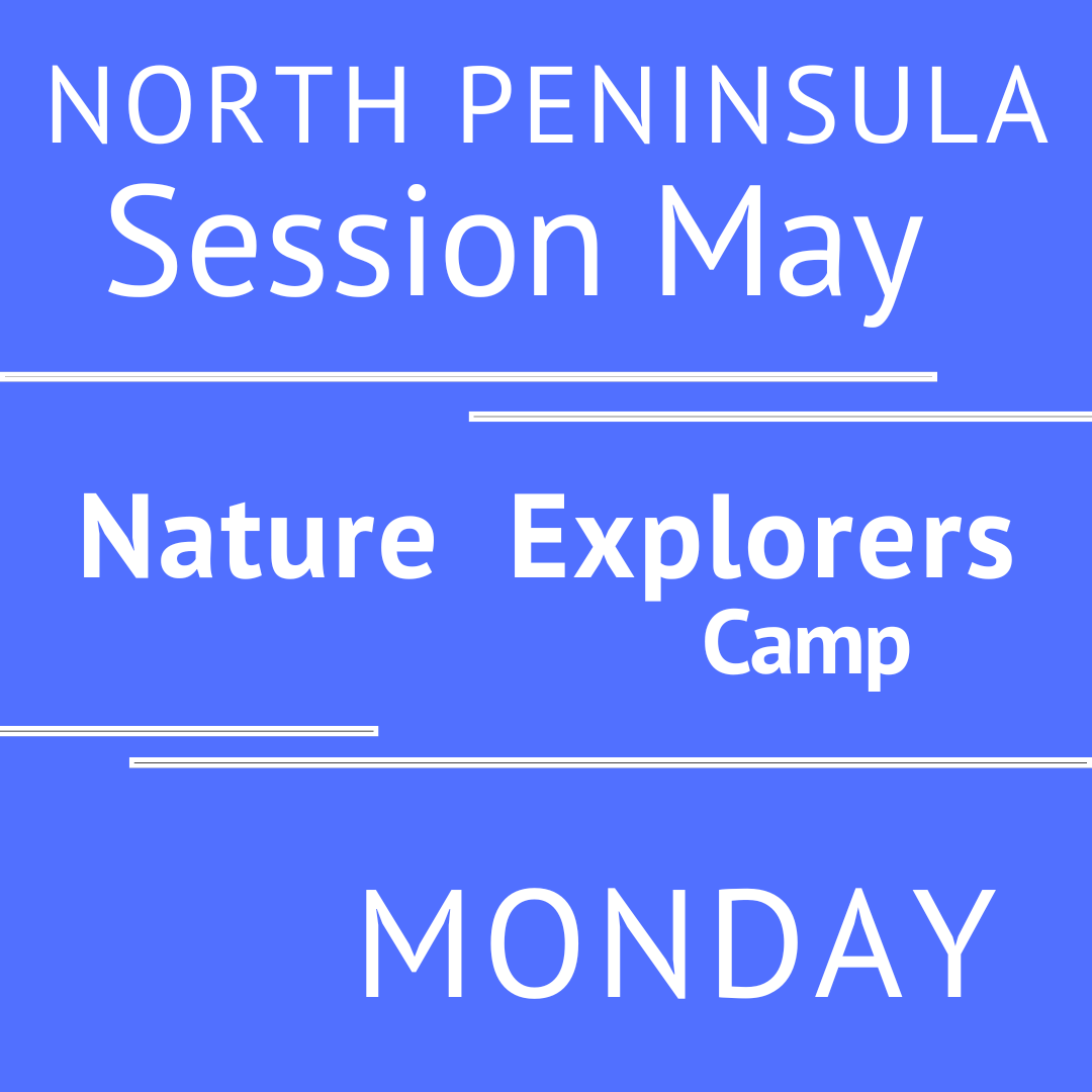 North Peninsula - Summer 2026 - Session May: Monday Morning Adventures - Teacher V