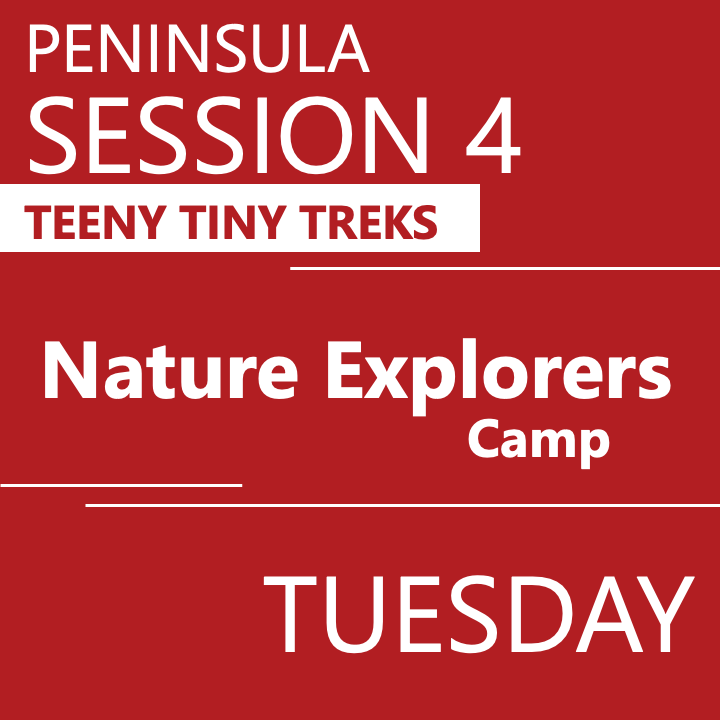 Peninsula - Summer 2026 - Session 4: Tuesday Early Bird - Teeny Tiny Treks - Teacher Erin