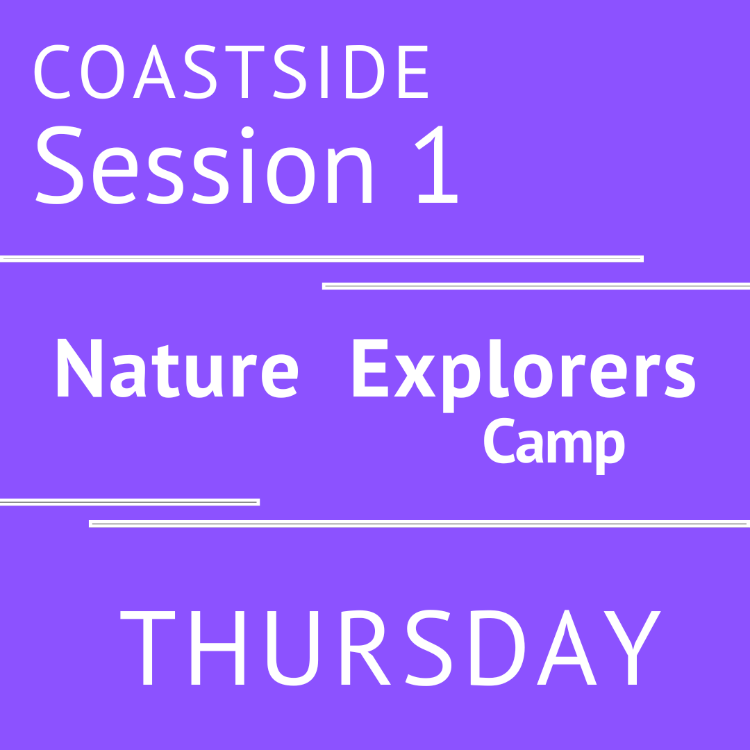 Coastside - Summer 2026 - Session 1: Thursday - Teacher Andera