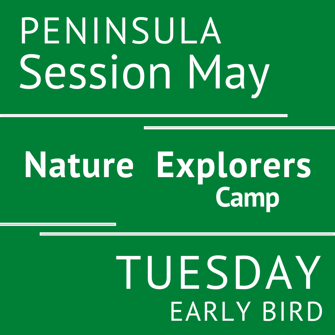 Peninsula - Summer 2026 - Session 1: Tuesday Early Bird - Teacher Erin