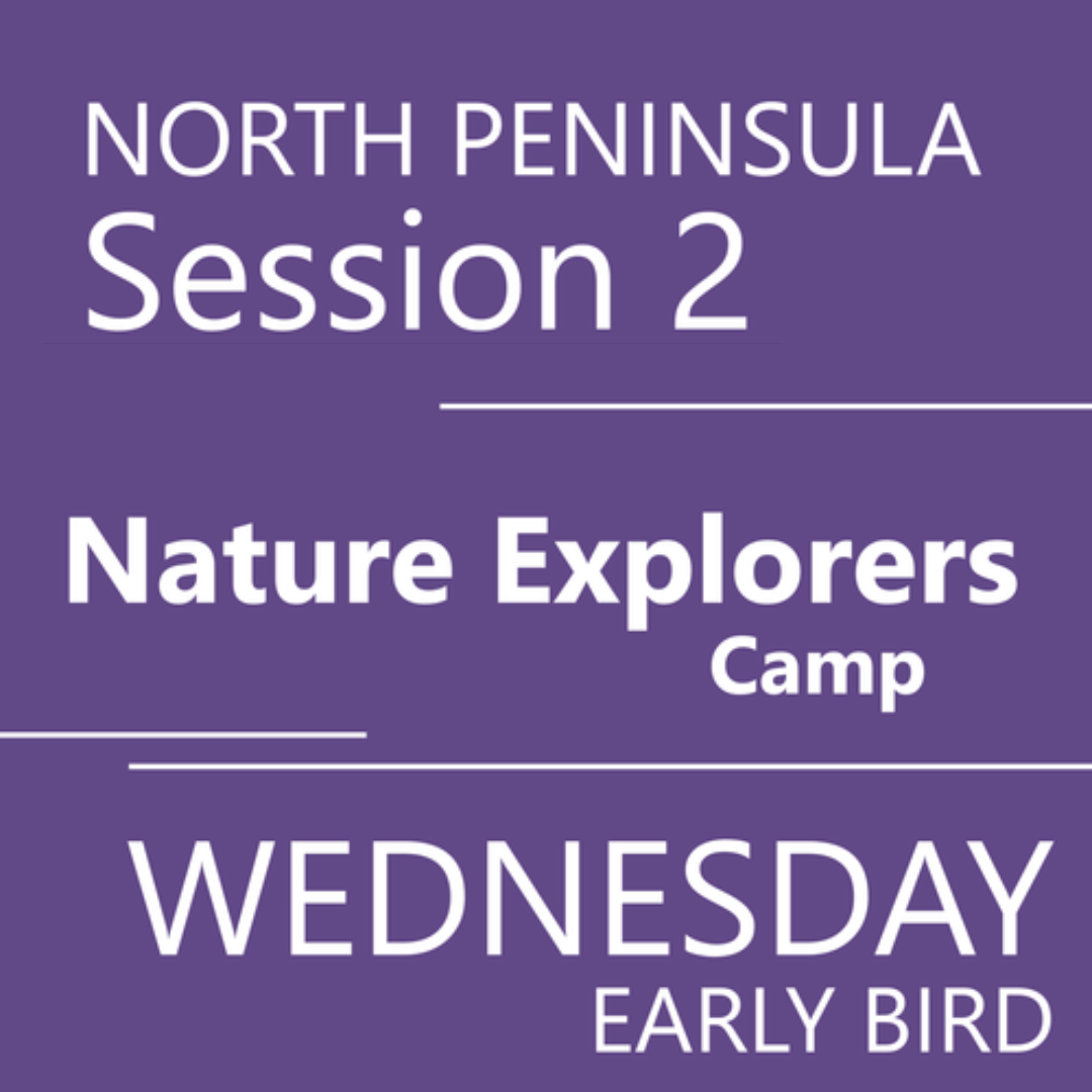 Summer North Peninsula 2026 - Session 2 Wednesday  Morning Adventure Teacher V