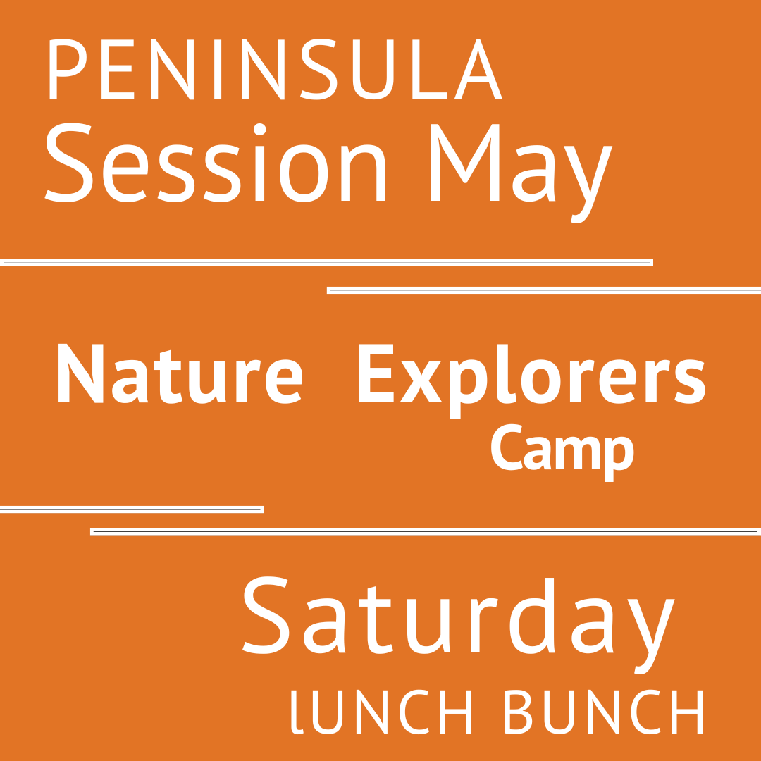 Summer Peninsula 2026 - Session May Saturday Lunch Bunch Teacher Andrea