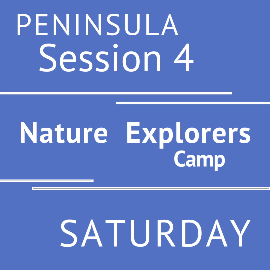 Peninsula - Summer 2025 - Session 4: Saturday Early Bird- Teeny Tiny Treks - Teacher Vanessa