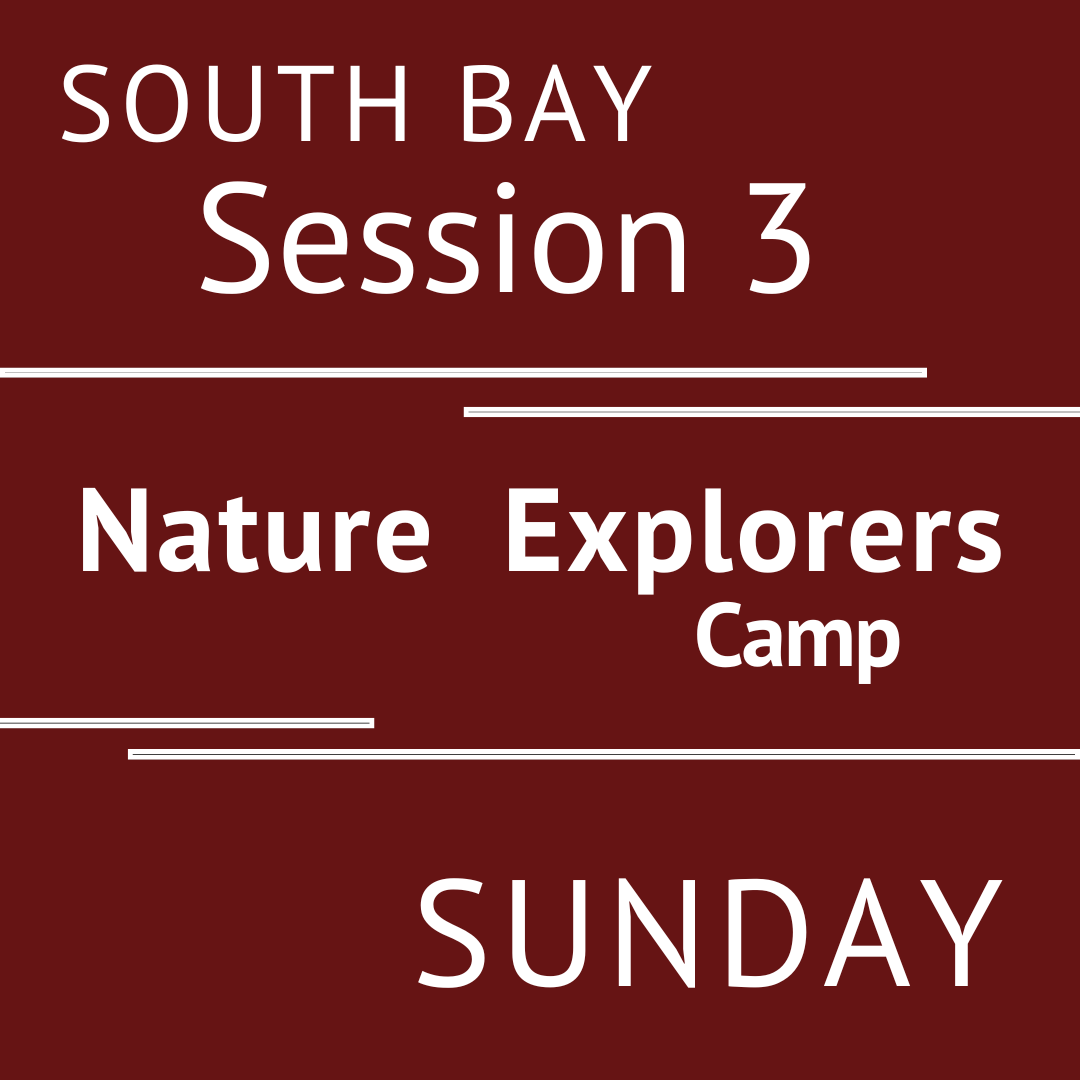 Summer South Bay 2026 - Session 3 Sunday Teeny Tiny Early Bird Teacher Vanessa