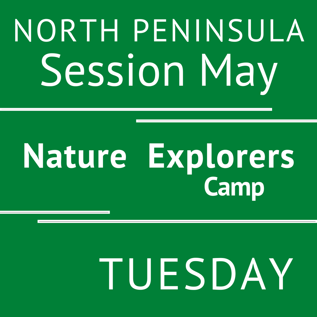 North Peninsula - Summer 2026 - Session May: Tuesday Morning Adventures - Teacher V