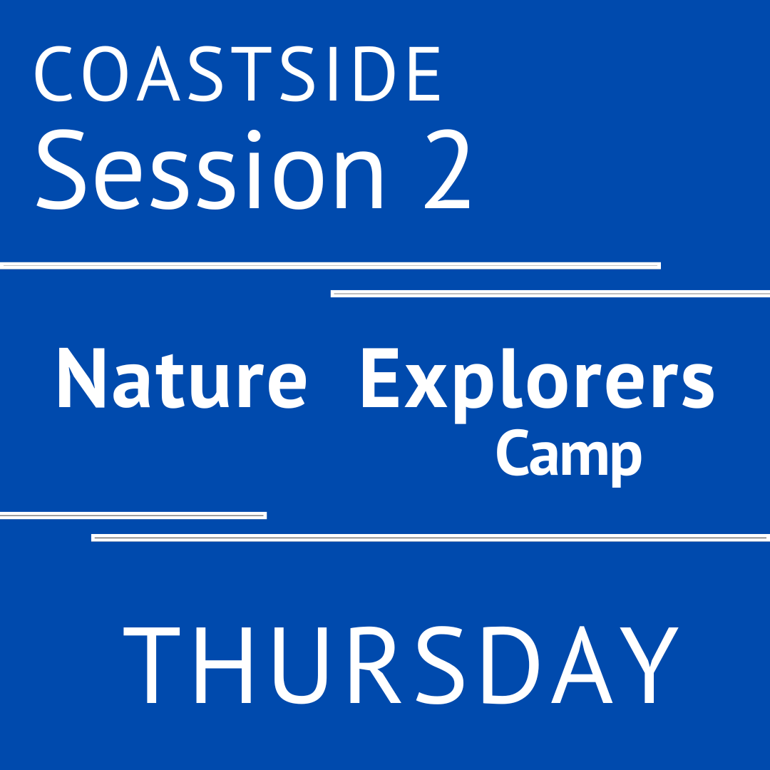 Coastside - Summer 2026 - Session 2: Thursday - Teacher Andera
