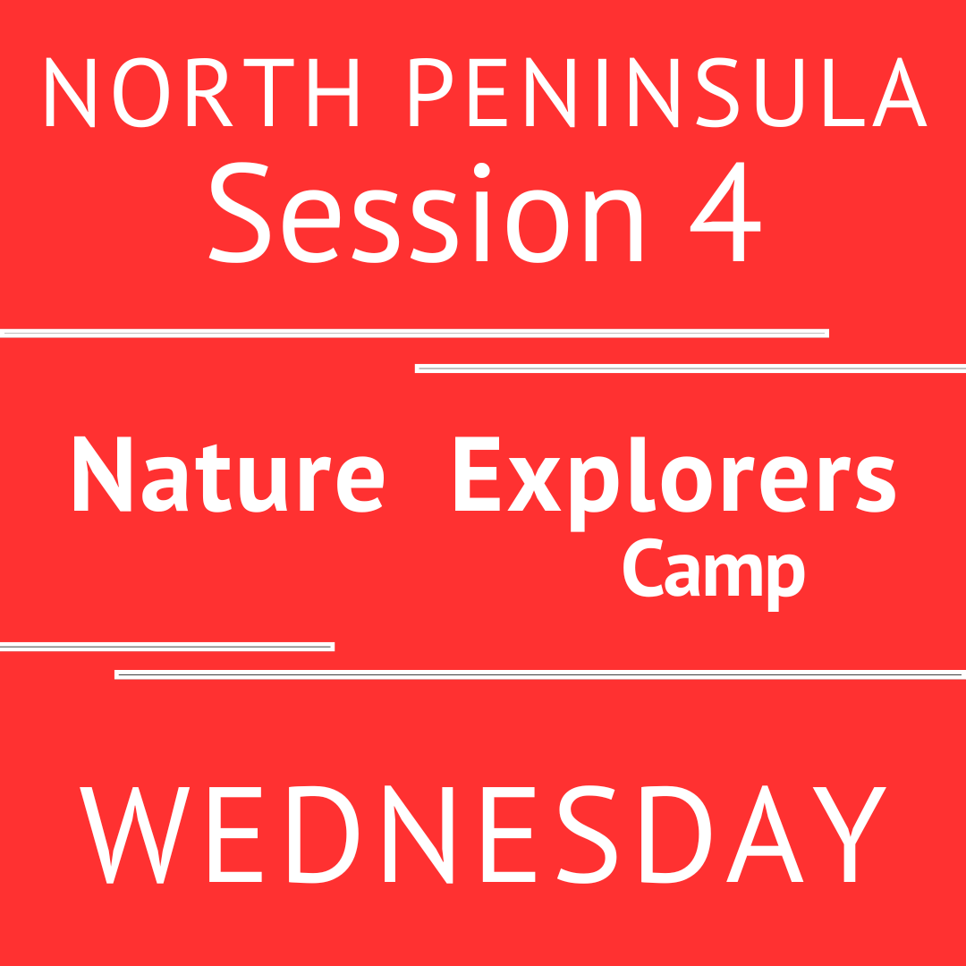 Summer North Peninsula 2026 - Session 4 Wednesday  Morning Adventure Teacher V