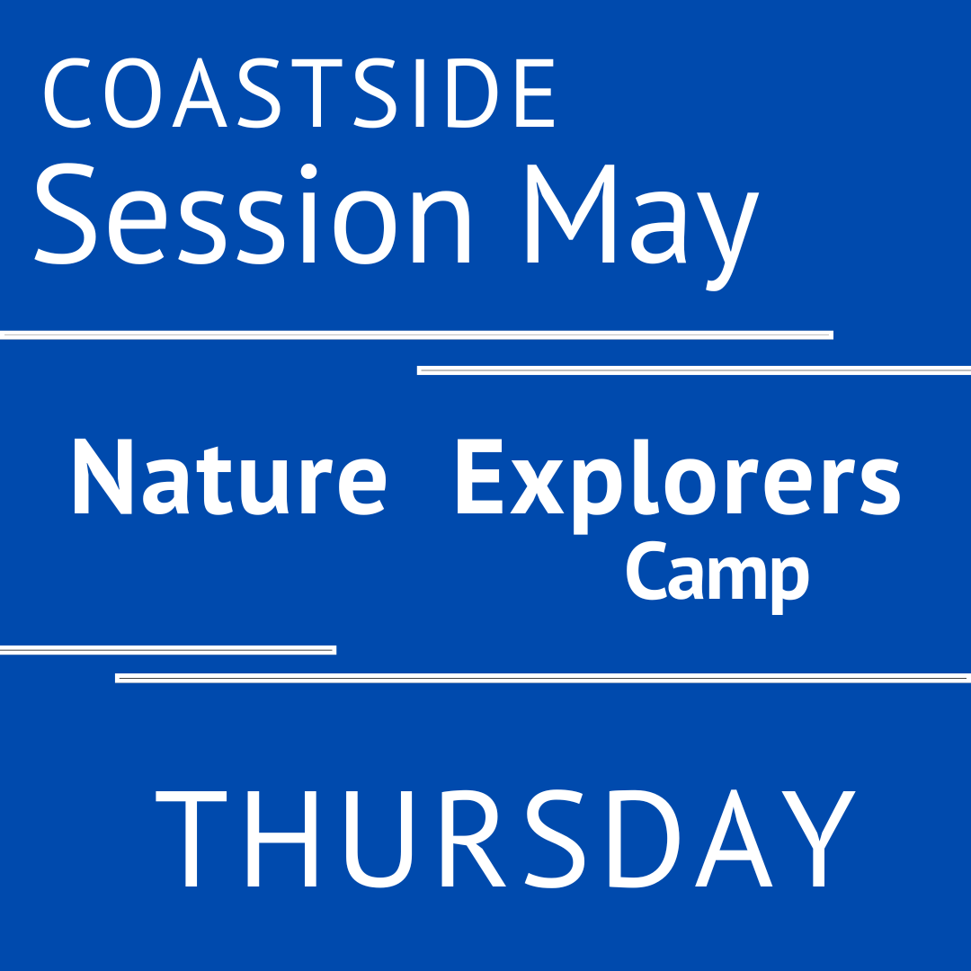 Coastside - Summer 2026 - Session May: Thursday - Teacher Andera