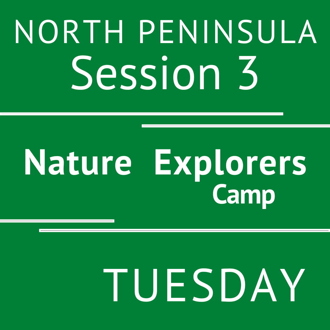 North Peninsula - Summer 2026 - Session 3: Tuesday Morning Adventures - Teacher Ally