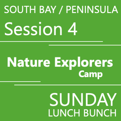 Peninsula/ South Bay - Summer 2026 - Session 4: Sunday Lunch Bunch - Teacher Vanessa