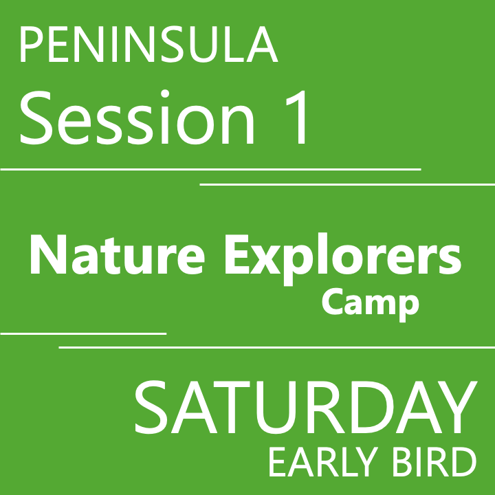 Peninsula - Summer 2026 - Session 1: Saturday Early Bird - Teacher Andrea