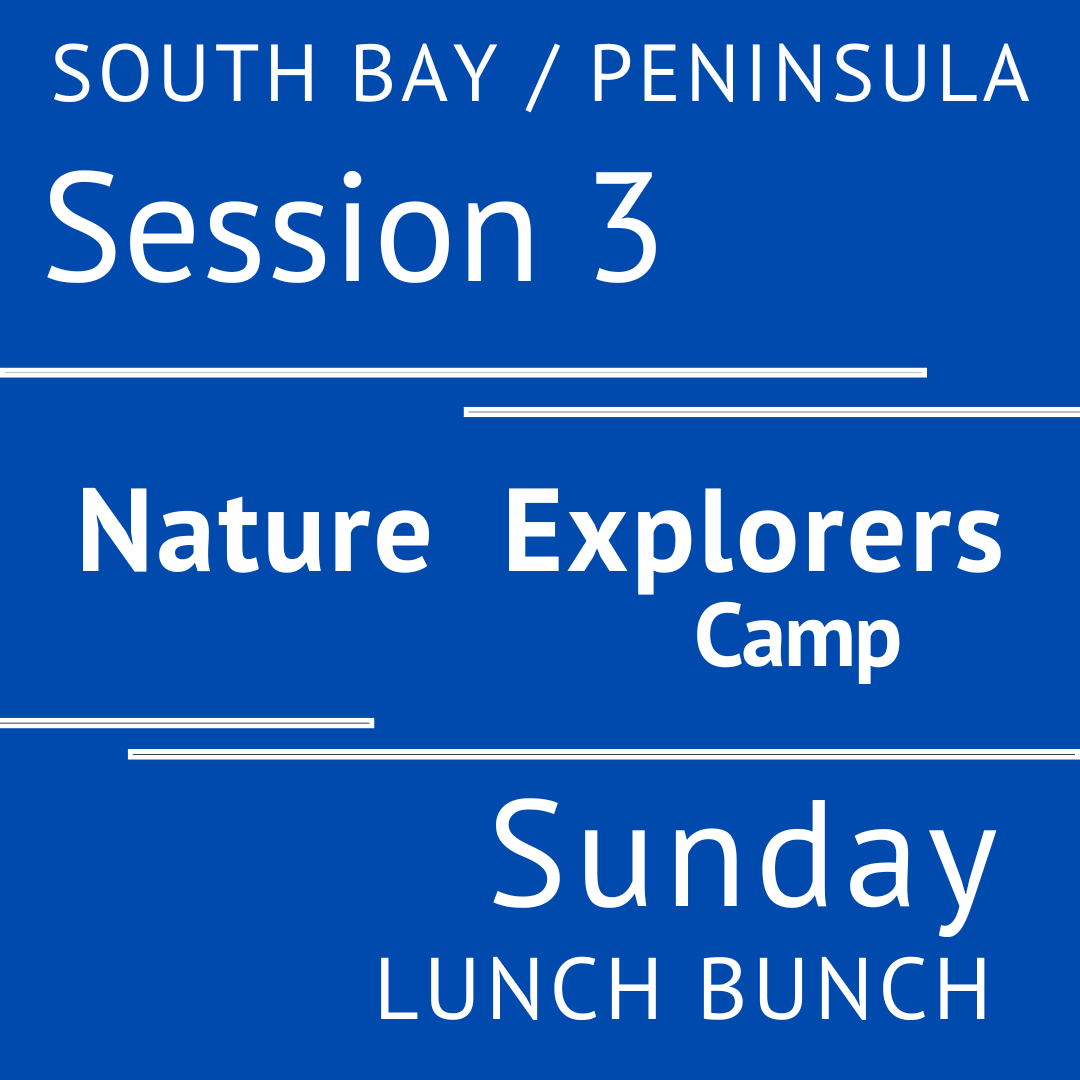 Peninsula/ South Bay - Summer 2026 - Session 3: Sunday Lunch Bunch  - Teacher Vanessa
