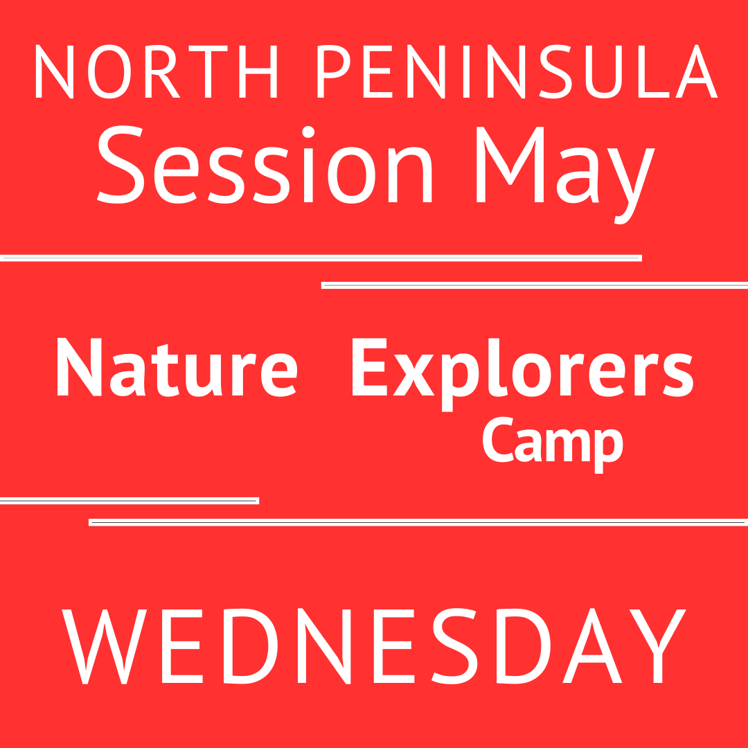 North Peninsula - Summer 2026 - Session May: Wednesday Morning Adventures - Teacher V