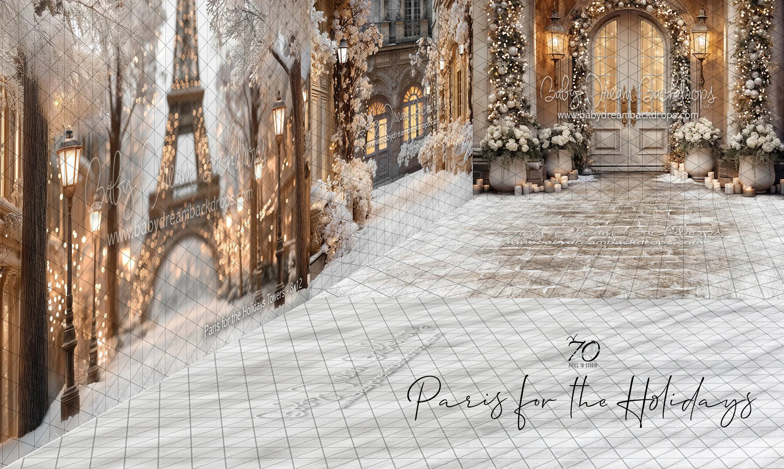 Paris for the Holidays.jpg
