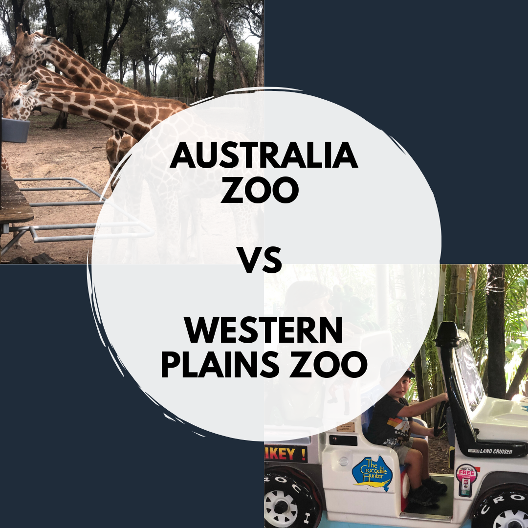 AUSTRALIA ZOO VS WESTERN PLAINS ZOO