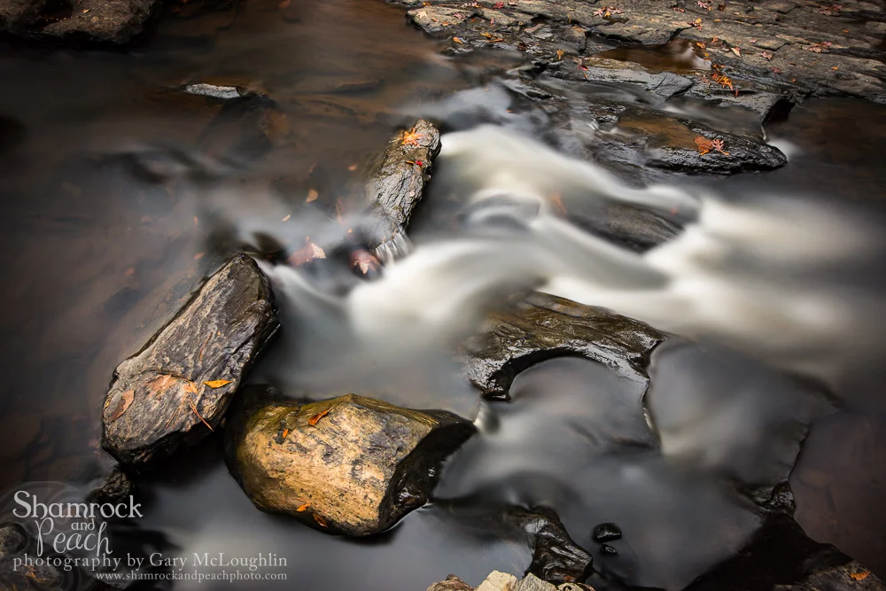Sweetwater Creek-Oct15-57-Edit.jpg