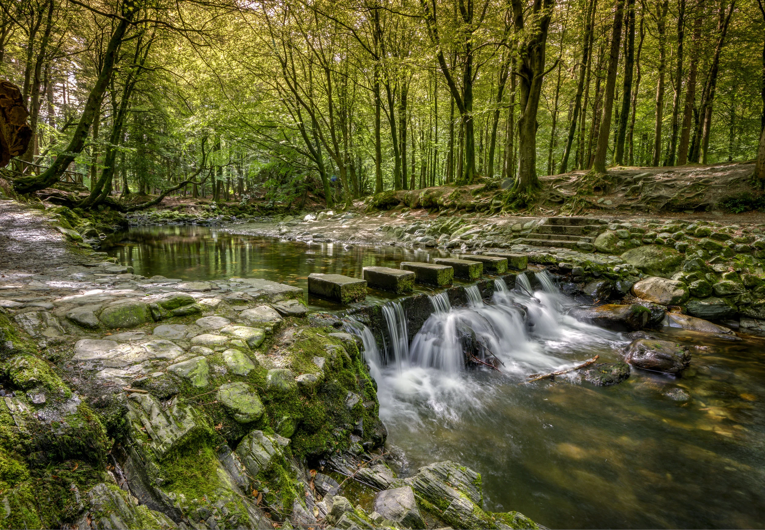 Tollymore, County Down