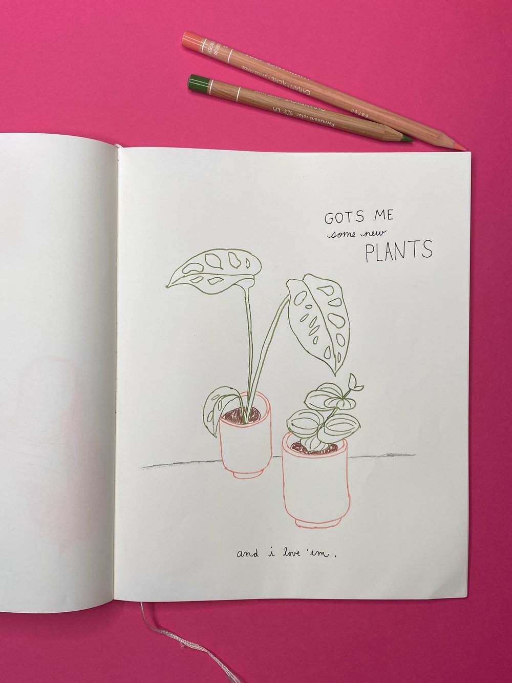 plantlovedrawing.jpg