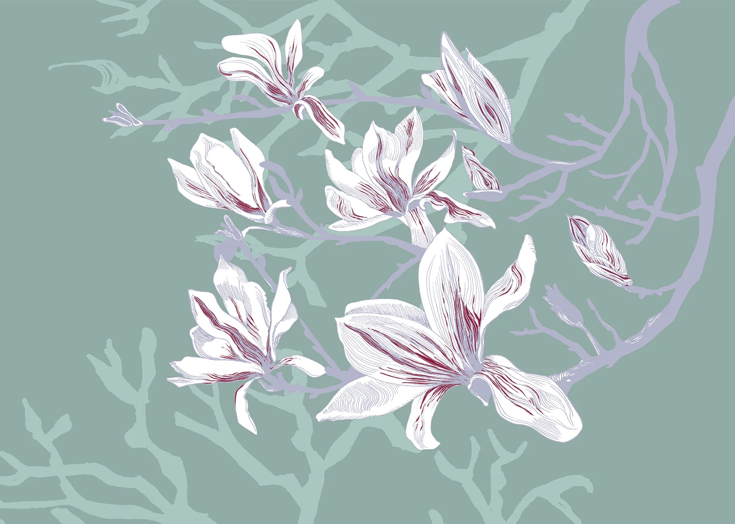 magnoliea_website.jpg