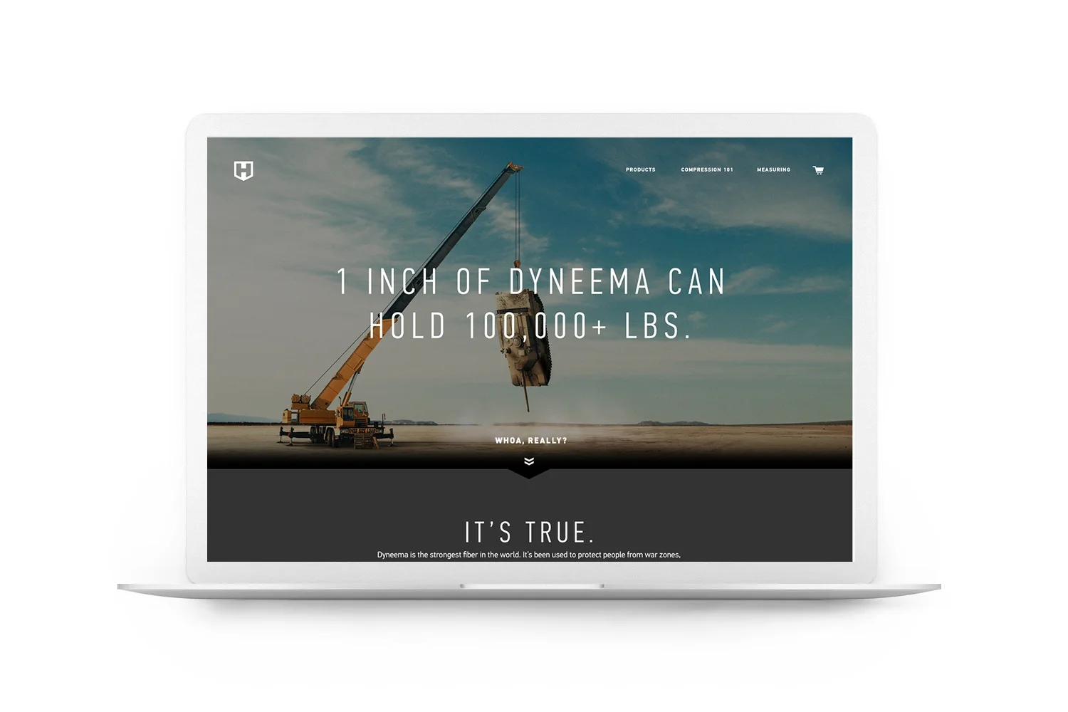 Dyneema In Laptop Mock.jpg