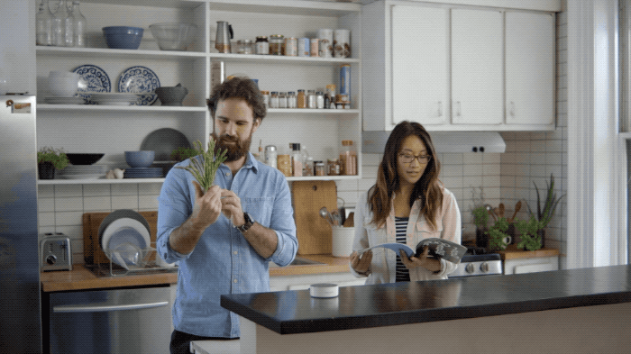 Alexa 30 c.2019-10-10 10_53_09b.gif