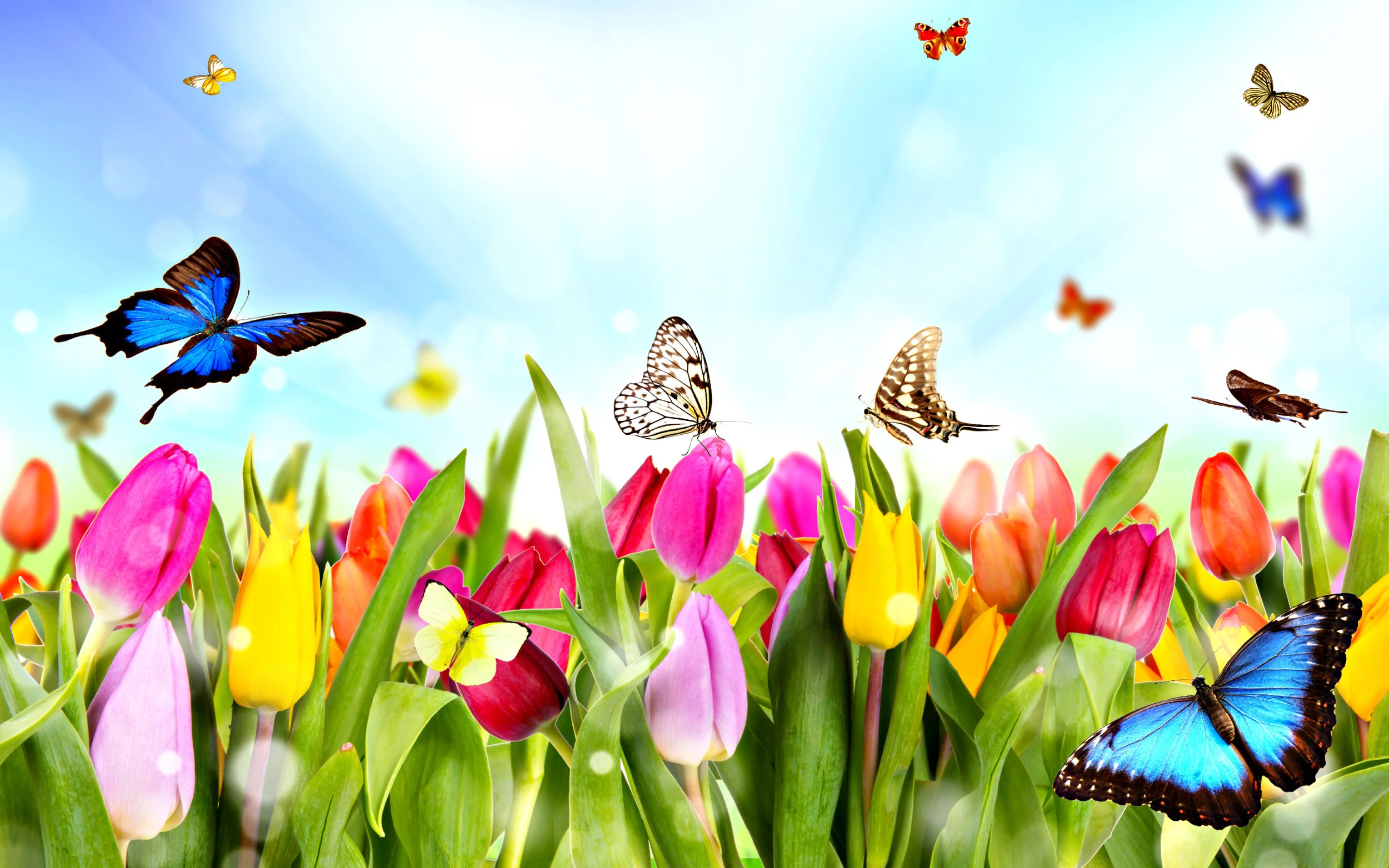 spring-01.jpg