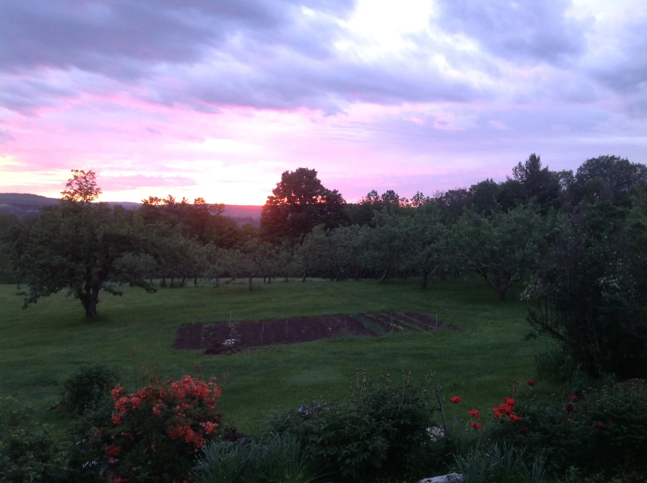 2013-06-13 04.49.32.jpg