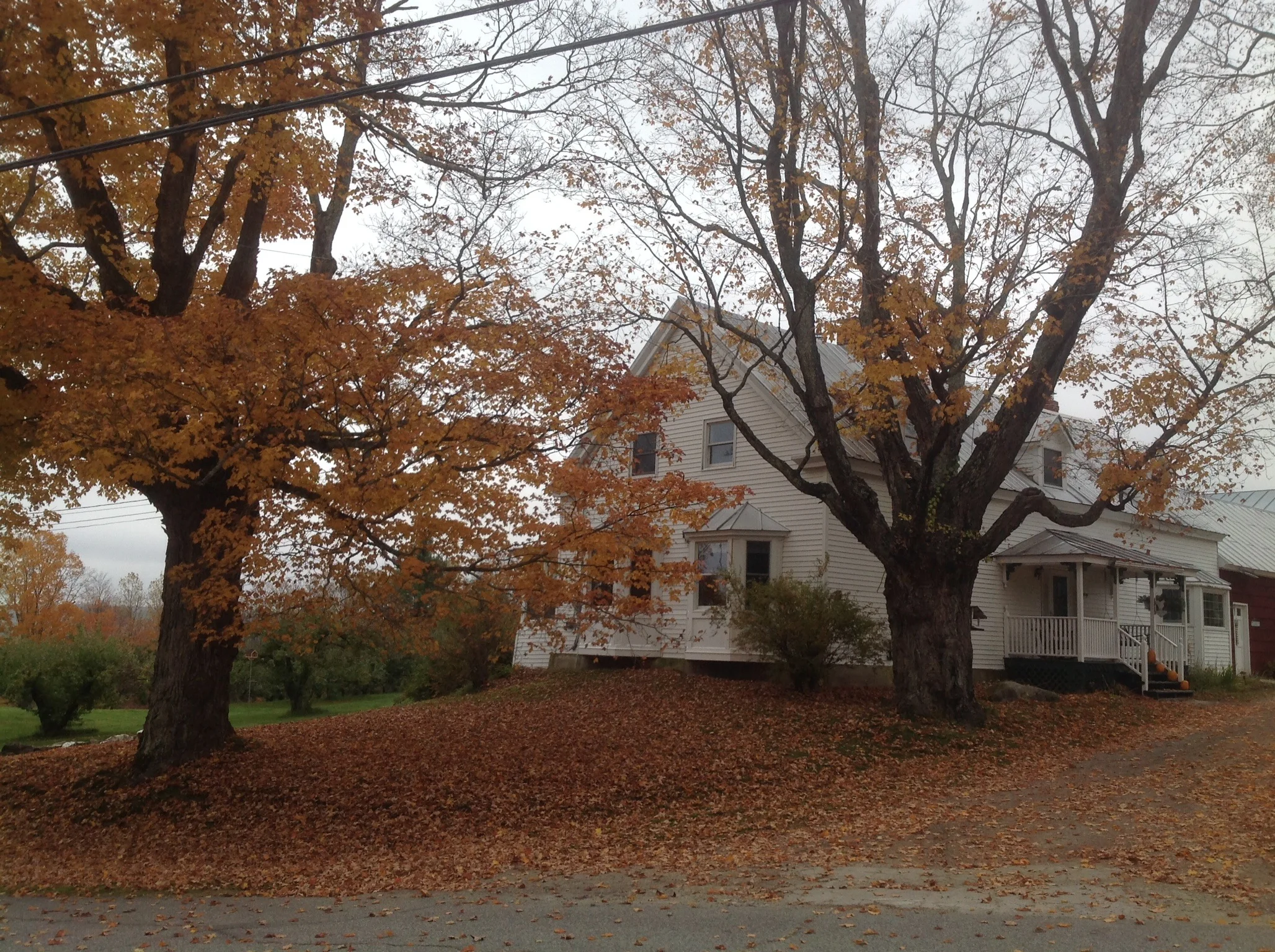 2013-10-16 10.31.43.jpg