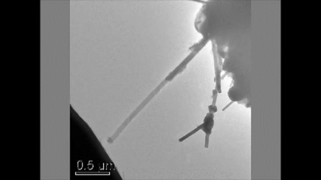 A video showing the elastic nature of thin (<50nm) single-crystalline Zinc Phosphide nanowire. Thinner single-crystalline nanowires show elastic nature as opposed to the brittle nature of bulk Zinc Phosphide.