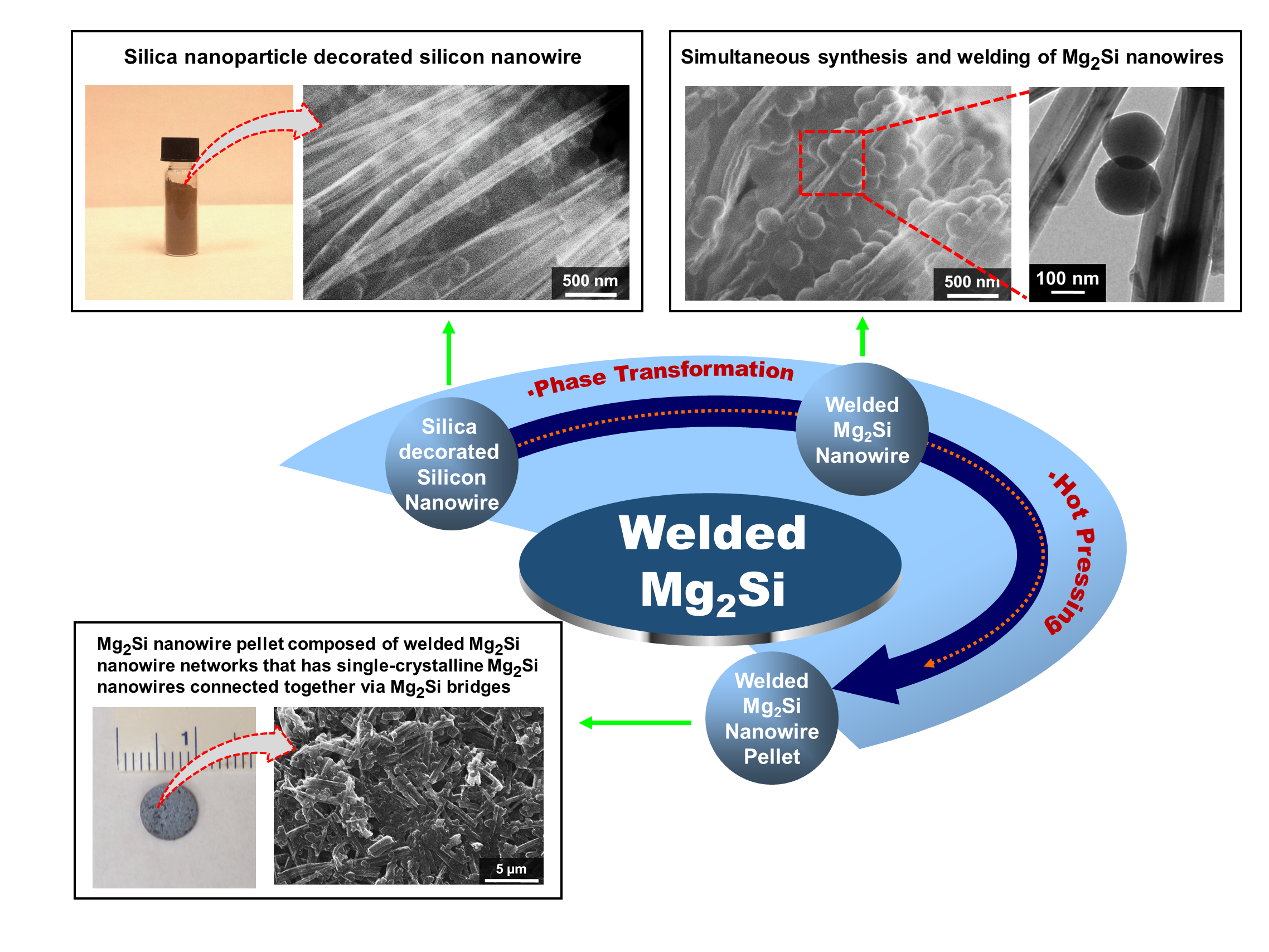 A schematic representing the steps involved in the simultaneous synthesis and welding of single-crystalline Mg2Si nanowires for the formation of Mg2Si nanowire networks. Chemistry of Materials, 26, 2814, 2014. 