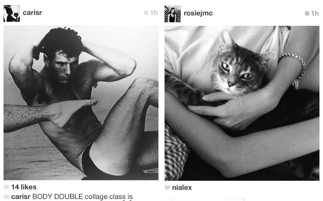 carisr_rosiejmc.jpg