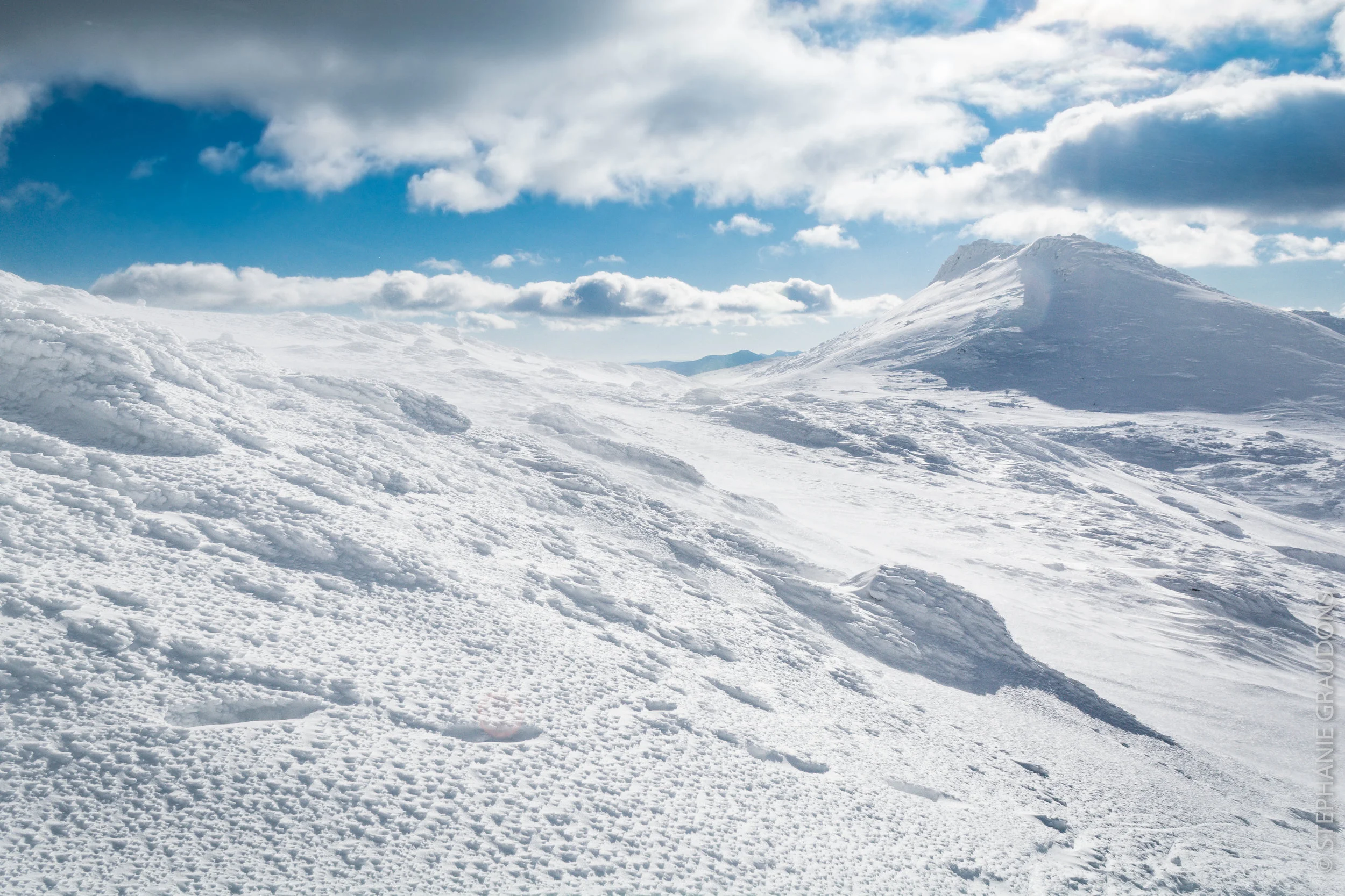 DSC_0179-2.jpg