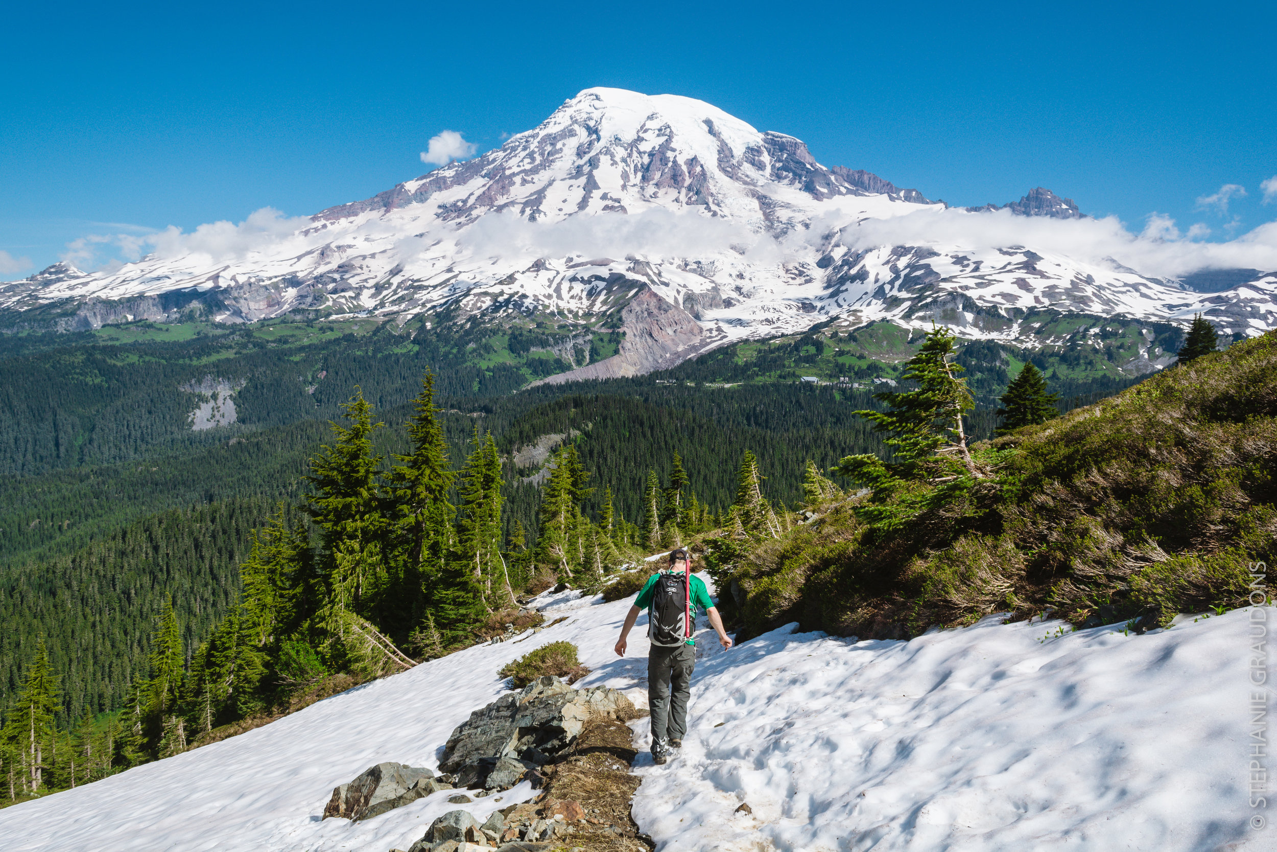 rainier-wm-0045.jpg