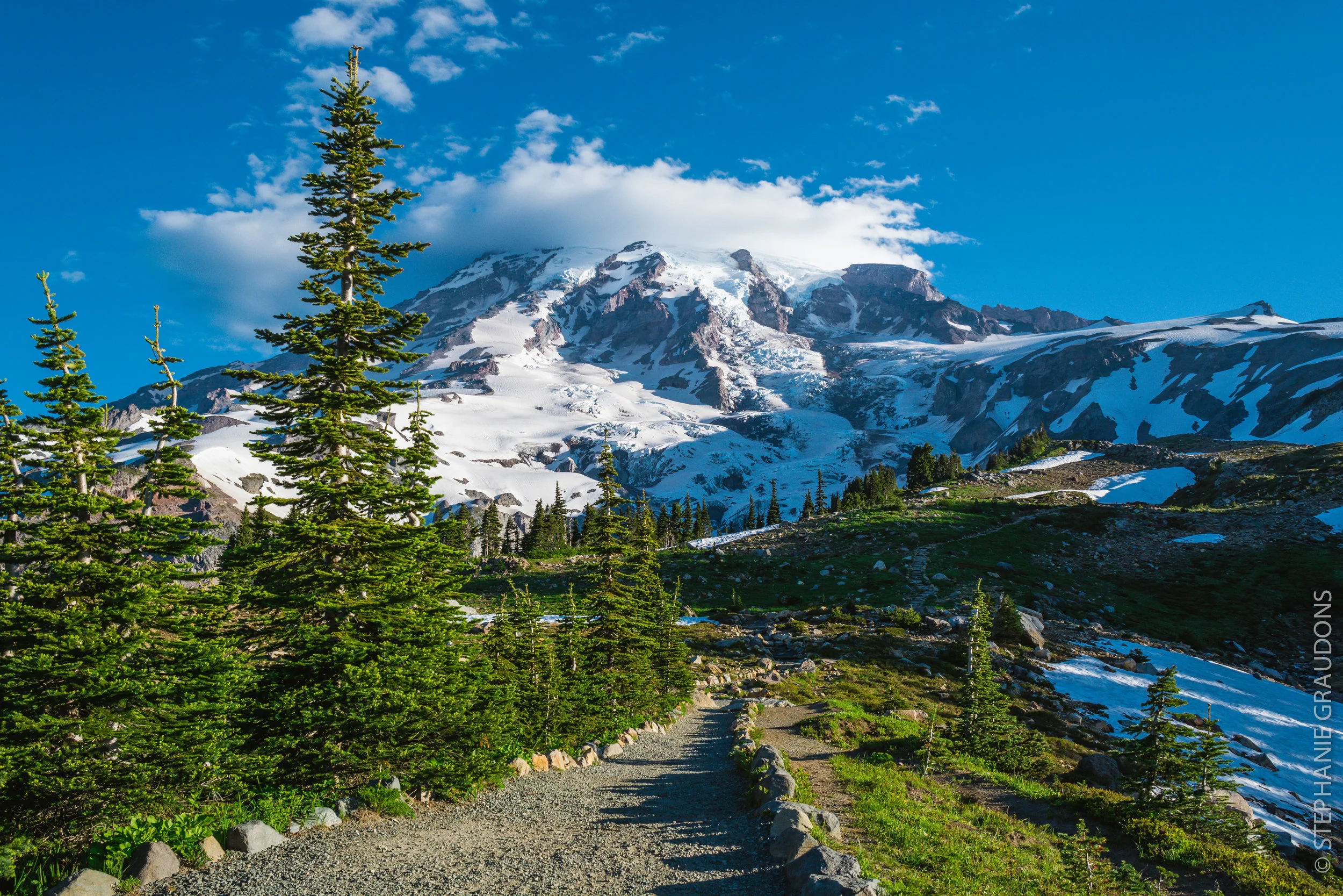 rainier-wm-0123.jpg