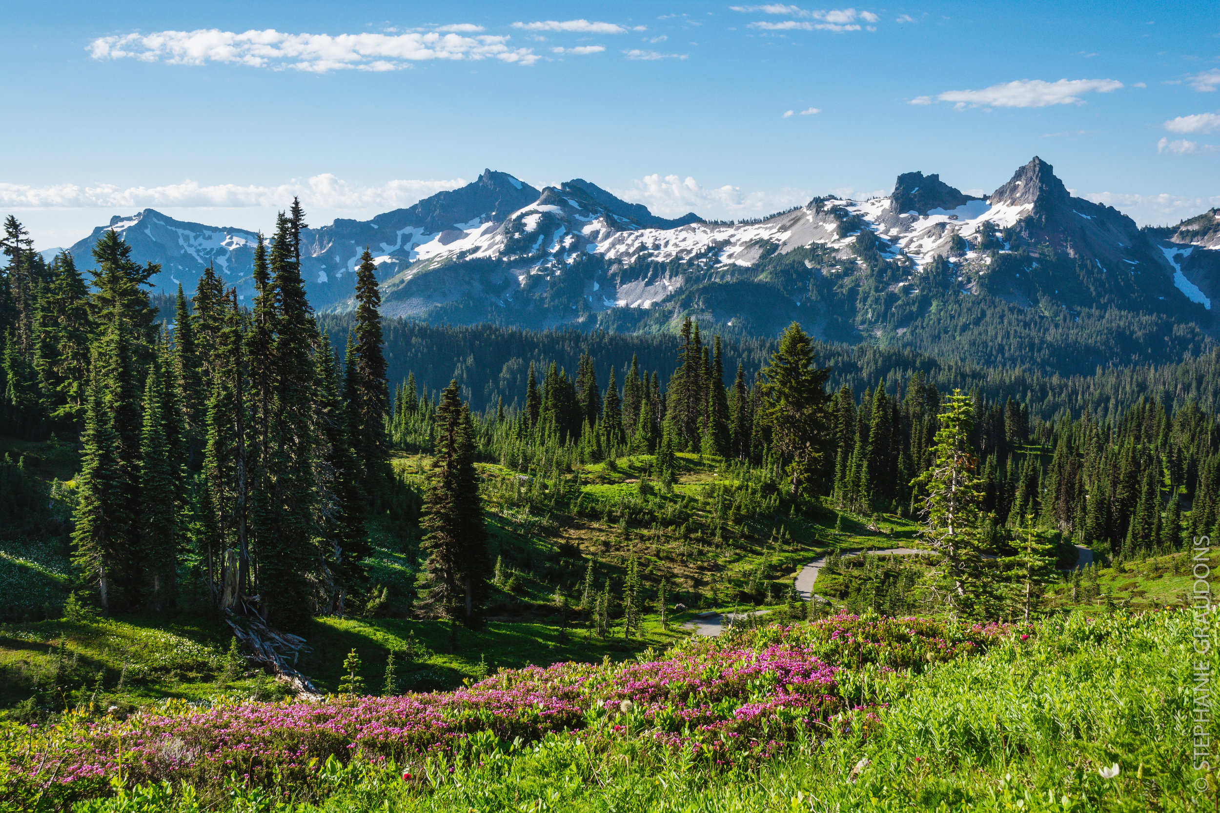 rainier-wm-0183.jpg