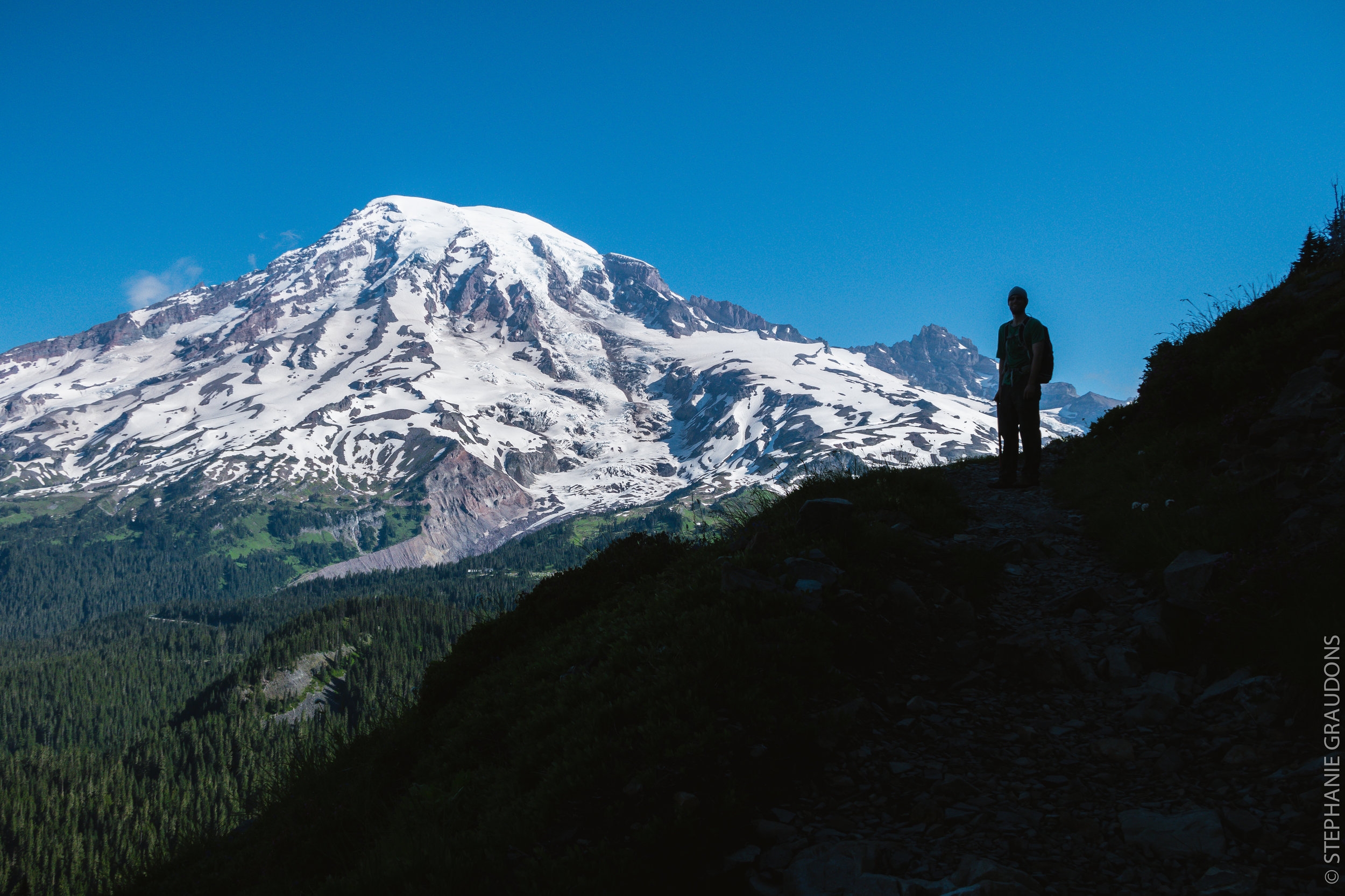 rainier-wm-0482.jpg