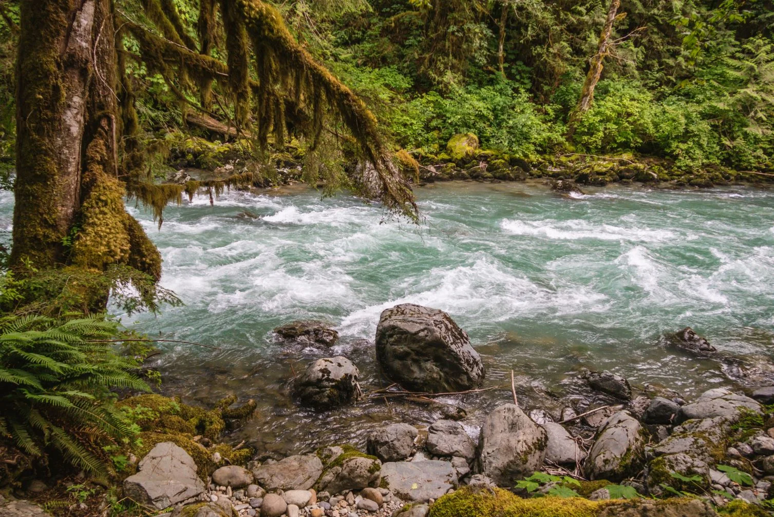 river.JPG