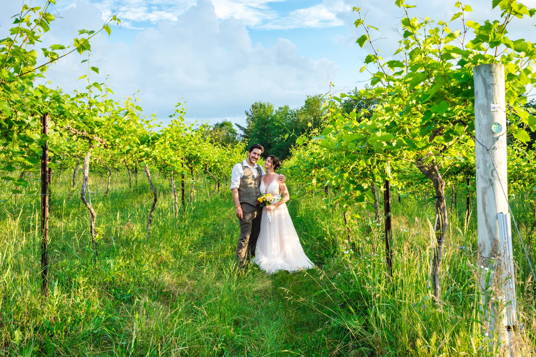 Shelburne-Vineyard-Wedding-81.jpg