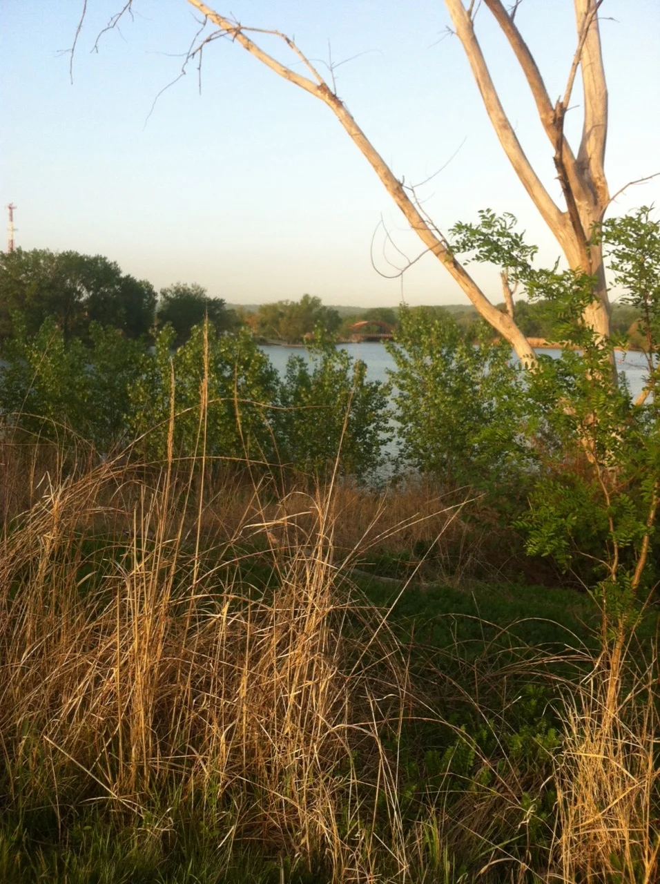 Snapshot from my walk in Overpeck Park, Bergen County, NJ. Nice, but doesn't compare to my Central Park.