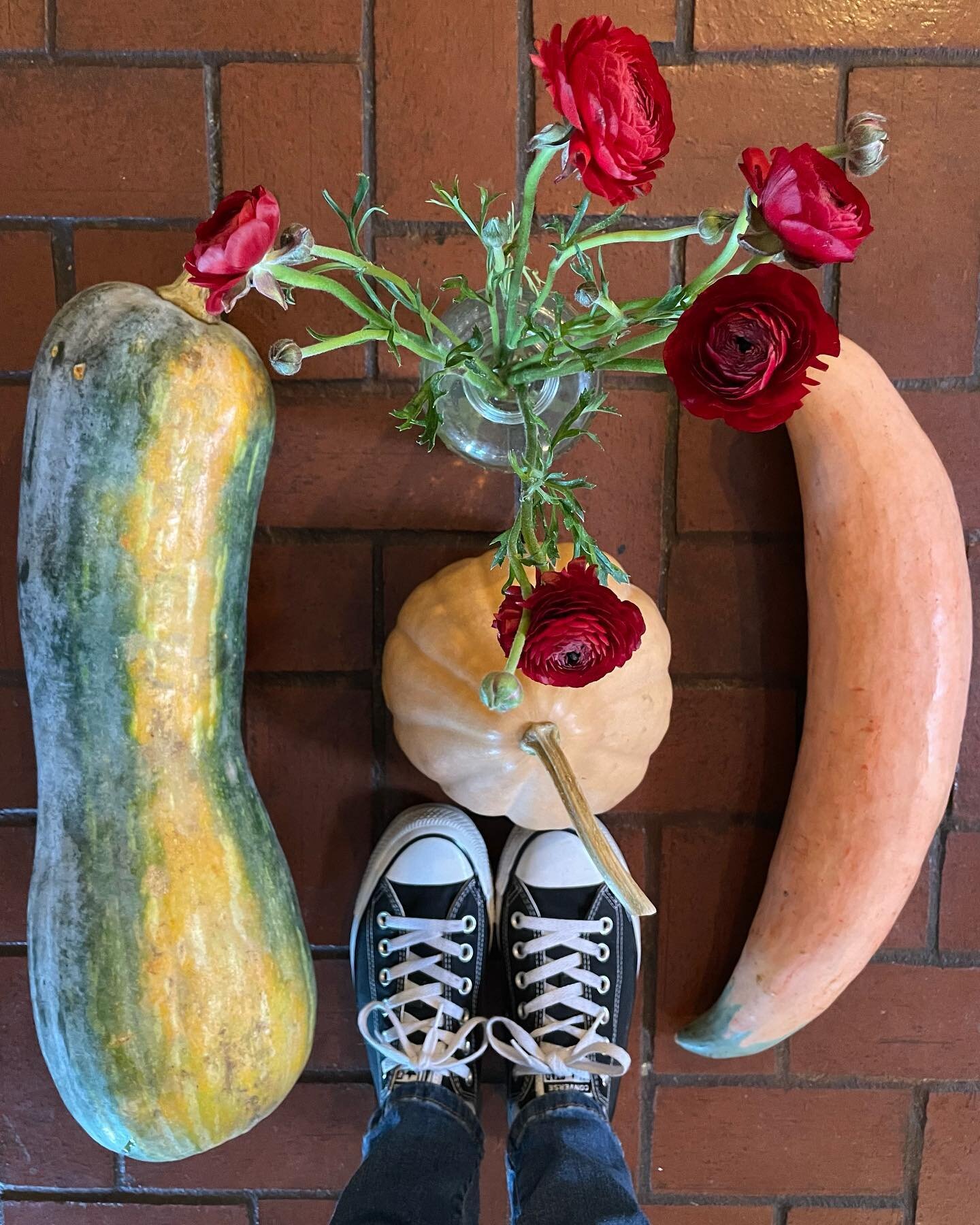 I&rsquo;m so glad we stopped by the @richlandparkfarmersmarket today - we will clearly be savoring this amazing lushness for a while!
Lunga di Napoli Winter Squash (from Naples)
Seminole Pumpkin
Candy Roaster Winter Squash
Ranunculus from @wholefoods