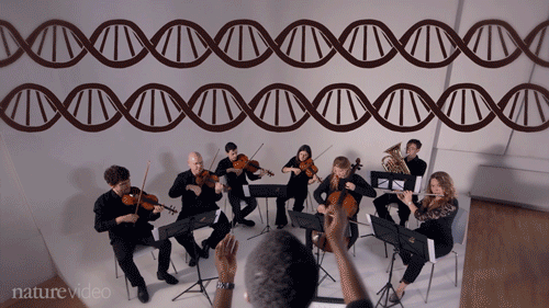 Nature: The symphony in your cells