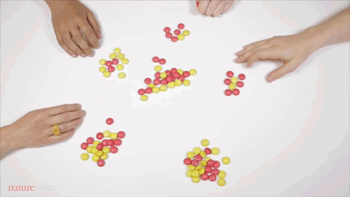 Nature - Handing on a sustainable future